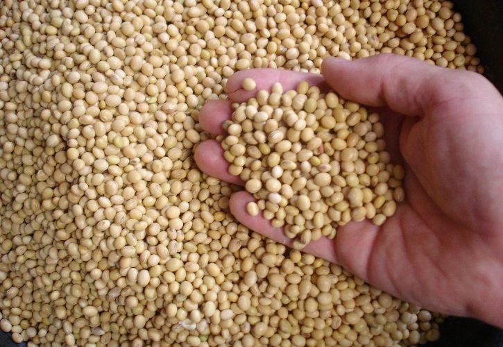 Hormon Estrogen u Soji: Da li je opasan za zdravlje?