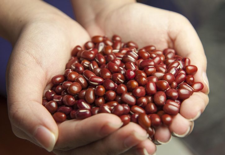 Proteini za Vegetarijance i Vegane: 15 Najboljih Izvora